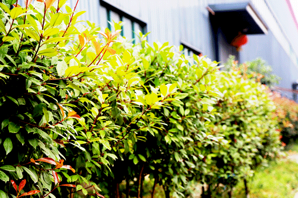 天然居硅藻泥第22期營(yíng)銷(xiāo)培訓(xùn)圓滿(mǎn)結(jié)業(yè) 天然居硅藻泥第22期營(yíng)銷(xiāo)培訓(xùn)圓滿(mǎn)結(jié)業(yè)